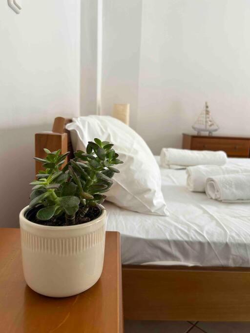Cozy Studio In Skala, Agistri Apartment Exterior foto
