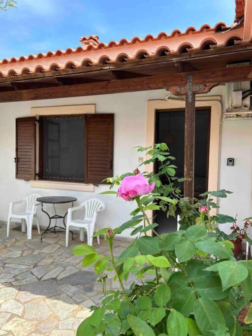 Cozy Studio In Skala, Agistri Apartment Exterior foto